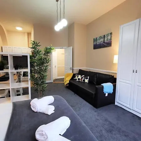 Spacious Georgian Studio Dublin